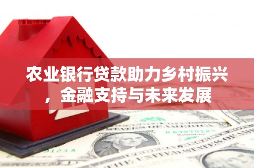 白云农业银行贷款助力乡村振兴，金融支持与未来发展