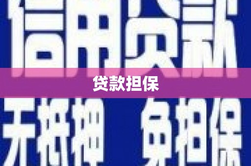 白云贷款担保