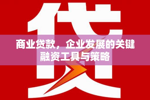 白云商业贷款，企业发展的关键融资工具与策略