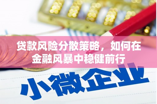 白云贷款风险分散策略，如何在金融风暴中稳健前行