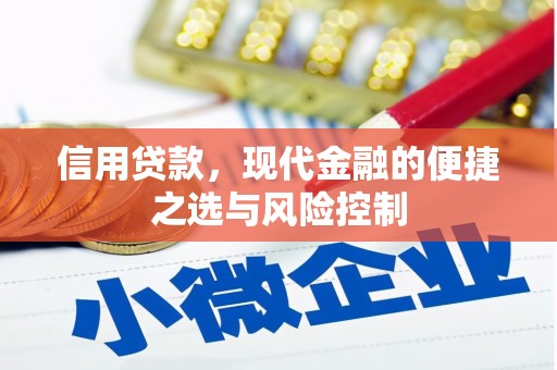 白云信用贷款，现代金融的便捷之选与风险控制