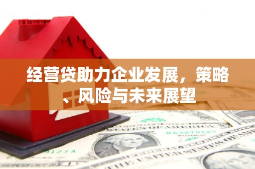 白云经营贷助力企业发展，策略、风险与未来展望
