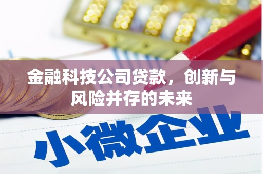 白云金融科技公司贷款，创新与风险并存的未来