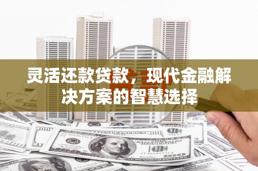 白云灵活还款贷款，现代金融解决方案的智慧选择