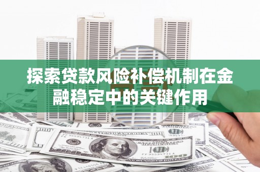 白云探索贷款风险补偿机制在金融稳定中的关键作用