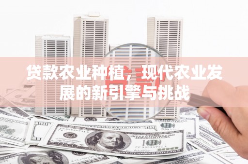 白云贷款农业种植，现代农业发展的新引擎与挑战