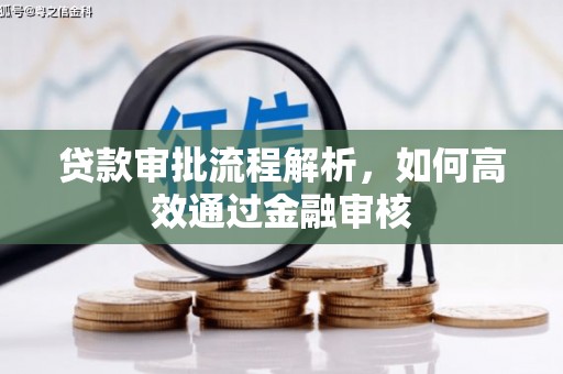 白云贷款审批流程解析，如何高效通过金融审核