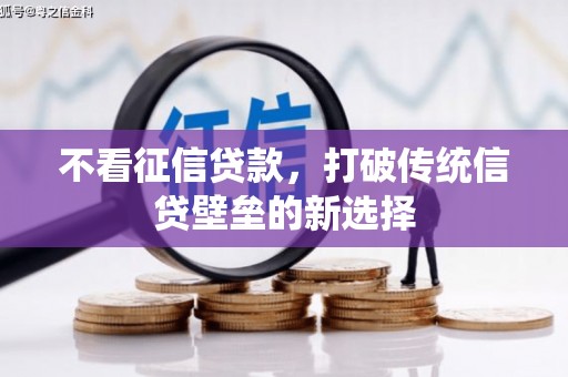 白云不看征信贷款，打破传统信贷壁垒的新选择