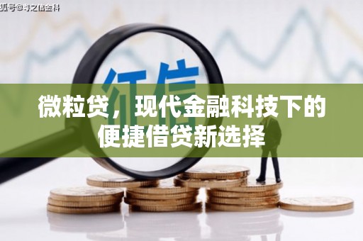 白云微粒贷，现代金融科技下的便捷借贷新选择