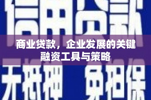 白云商业贷款，企业发展的关键融资工具与策略