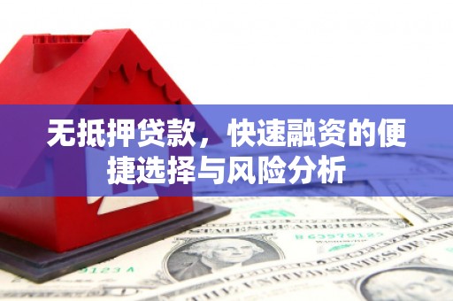 白云无抵押贷款，快速融资的便捷选择与风险分析