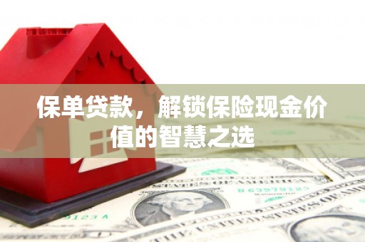 白云保单贷款，解锁保险现金价值的智慧之选