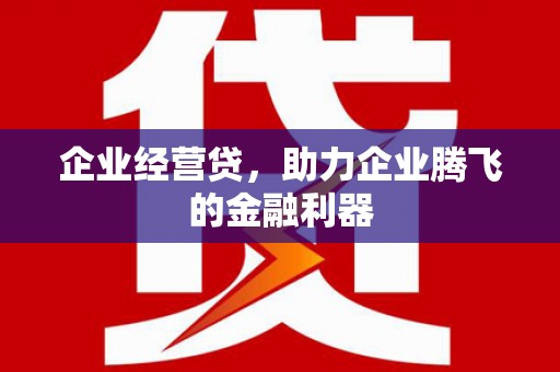 白云企业经营贷，助力企业腾飞的金融利器