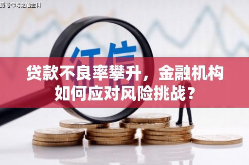白云贷款不良率攀升，金融机构如何应对风险挑战？