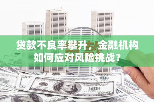 白云贷款不良率攀升，金融机构如何应对风险挑战？