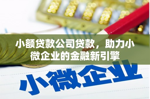 白云小额贷款公司贷款，助力小微企业的金融新引擎