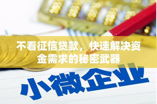 白云不看征信贷款，快速解决资金需求的秘密武器
