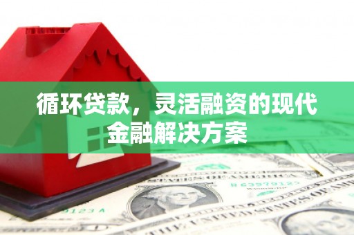 白云循环贷款，灵活融资的现代金融解决方案