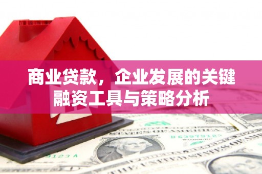 白云商业贷款，企业发展的关键融资工具与策略分析