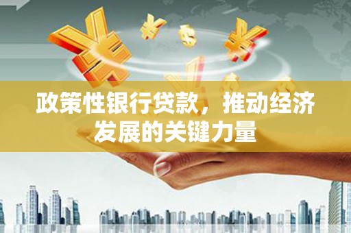 白云政策性银行贷款，推动经济发展的关键力量