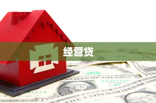 白云经营贷