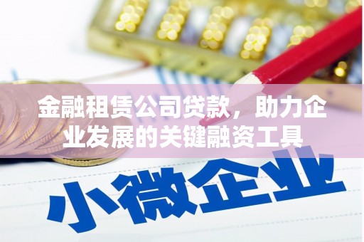 白云金融租赁公司贷款，助力企业发展的关键融资工具