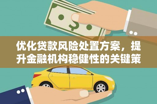 白云优化贷款风险处置方案，提升金融机构稳健性的关键策略