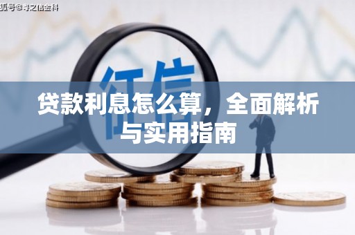 白云贷款利息怎么算，全面解析与实用指南