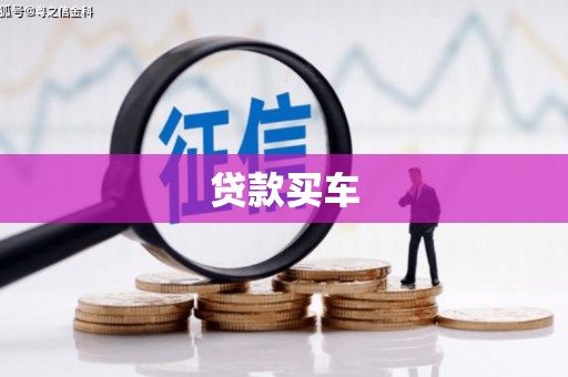 白云贷款买车
