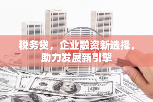 白云税务贷，企业融资新选择，助力发展新引擎