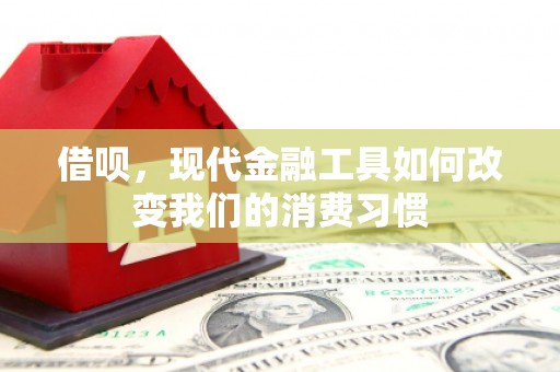 白云借呗，现代金融工具如何改变我们的消费习惯