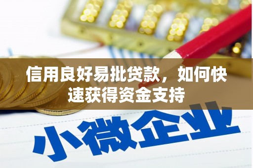 白云信用良好易批贷款，如何快速获得资金支持