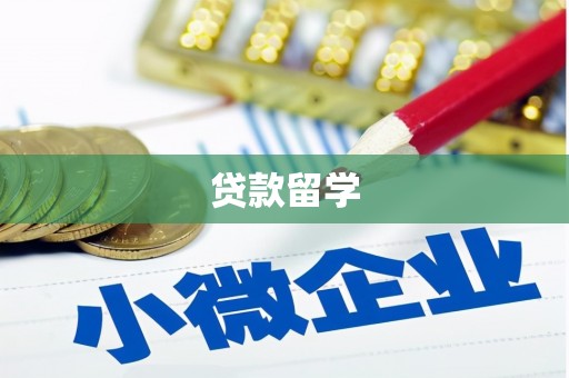 白云贷款留学