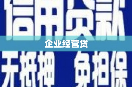 白云企业经营贷