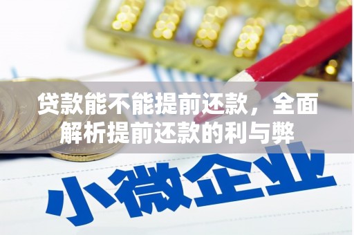 白云贷款能不能提前还款，全面解析提前还款的利与弊