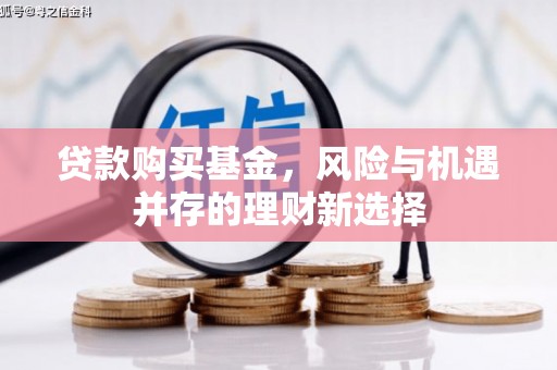白云贷款购买基金，风险与机遇并存的理财新选择