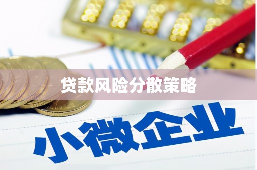 白云贷款风险分散策略