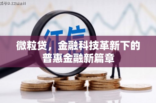 白云微粒贷，金融科技革新下的普惠金融新篇章