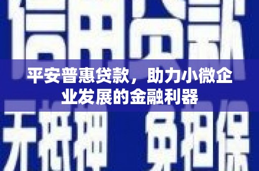白云平安普惠贷款，助力小微企业发展的金融利器
