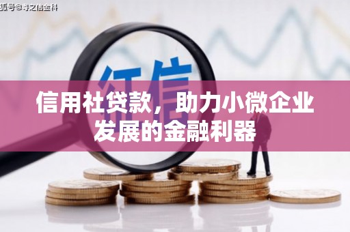 白云信用社贷款，助力小微企业发展的金融利器