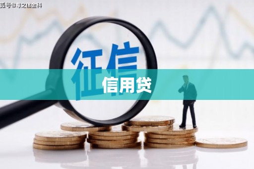 白云信用贷