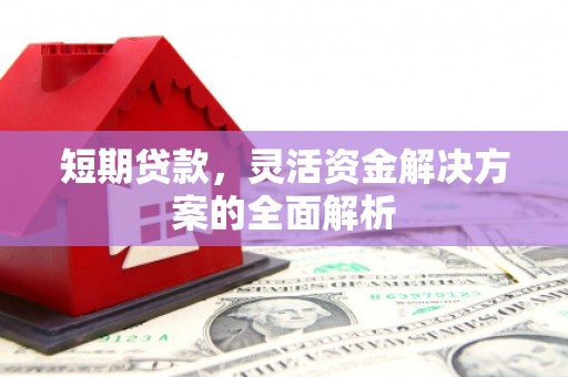 白云短期贷款，灵活资金解决方案的全面解析