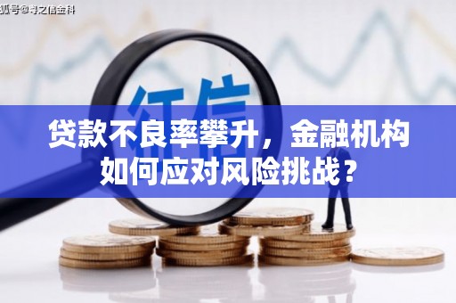 白云贷款不良率攀升，金融机构如何应对风险挑战？