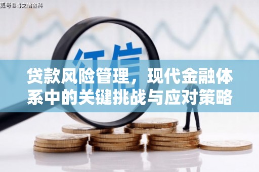 白云贷款风险管理，现代金融体系中的关键挑战与应对策略
