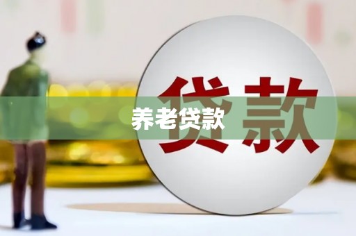 白云养老贷款