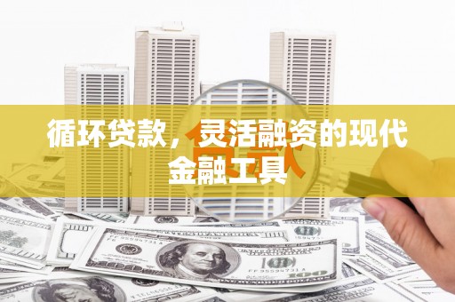 白云循环贷款，灵活融资的现代金融工具