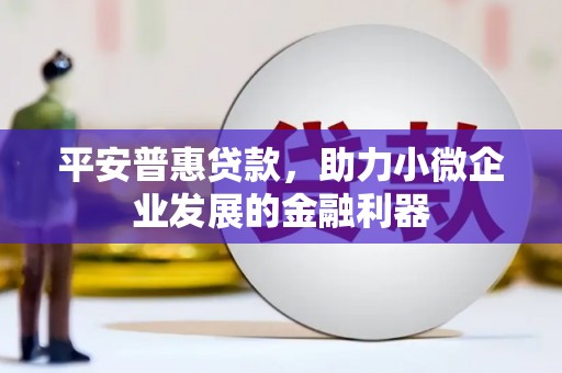 白云平安普惠贷款，助力小微企业发展的金融利器