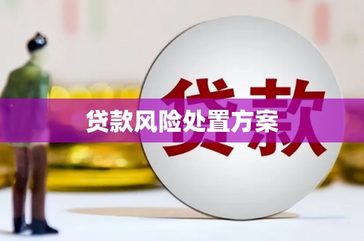 白云贷款风险处置方案