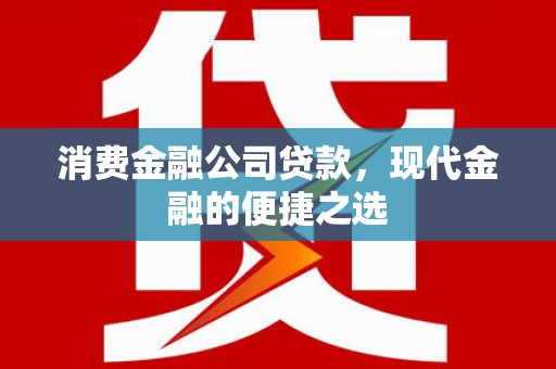 白云消费金融公司贷款，现代金融的便捷之选
