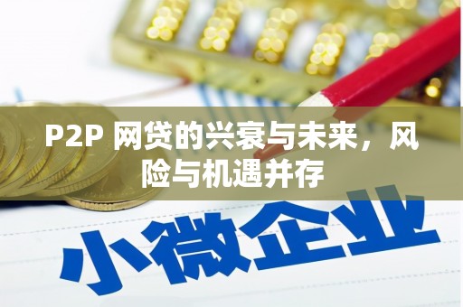 白云P2P 网贷的兴衰与未来，风险与机遇并存